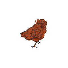 Hand drawn abstract vector graphic illustration collection with cute, stylized domestic animals rooster and hen character.Trendy modern farm design concept.Vector line farm animal symbol. animal icons