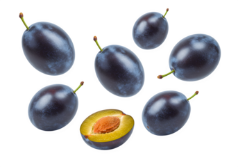 Blue plums falling isolated on white or transparent background. PNG, cutout