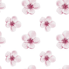 Seamless pattern with pink flowers. Cherry blossom. Watercolor illustration without background. Hand drawing. For fabric and textile. wrapping paper and templates.