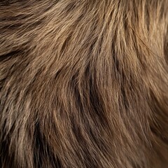 Fototapeta premium Close-up of a dense, textured, brown fur with varying shades and lengths of hairs, exhibiting a soft, natural sheen