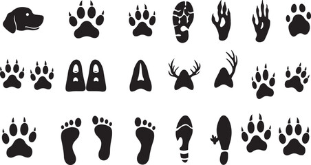 Animal tracks — dog, cat, bird, bear, horse, deer, raccoon, human footprint, lizard, wolf.
