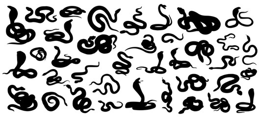 Serpentine Snakes Silhouettes Pack: Striking collection of snakes gracefully dancing against the backdrop, illustrating their diverse forms. Witness the hypnotic allure of these mysterious creatures.