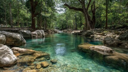 Clear Tropical River in Lush Forest