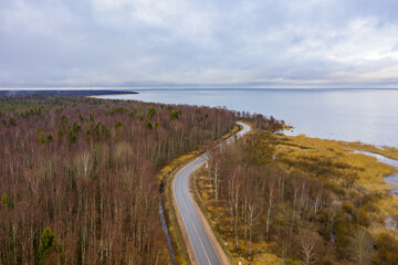 Curving road along a forest and lake shore under cloudy sky in autumn, aerial view of natural...