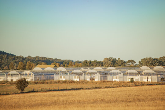 Rows of damaged hot houses on rural Australian farm