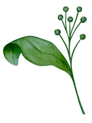 Watercolor collection of hand drawn eucalyptus leaves and yellow wildflowers. Botanical clipart elements isolated on white background. Set of objects for decor, design, poster, banner, wedding, logo