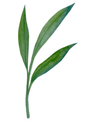 Watercolor collection of hand drawn eucalyptus leaves and yellow wildflowers. Botanical clipart elements isolated on white background. Set of objects for decor, design, poster, banner, wedding, logo