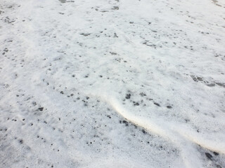 Close-Up of Ocean Foam Forming Patterns on a Sandy Beach. A delicate formation of foamy ocean surface patterns captured close-up on a beach shore.