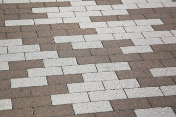 Obraz premium Pavement brickwork in Tokyo Japan