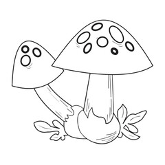 fly agaric vector illustration. Mushroom. Simple draw. 