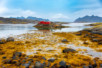 Bay in Svolvaer - Lofoten - Norway