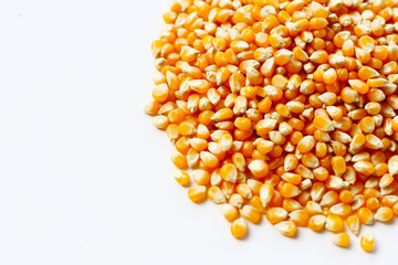 Yellow raw unpopped popcorn kernels