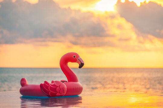 Playful summer pool scene sunset pink flamingo inflatable sea view. Fun happy vacation vibes perfect for tropical relaxation colorful water background. Joyful beach travel tourism decoration copyspace