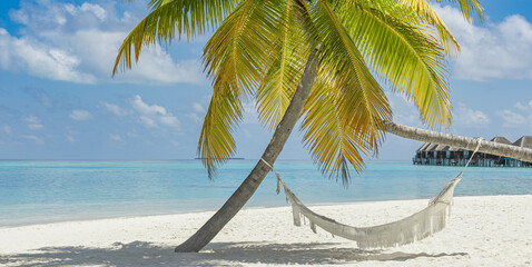 Picturesque tropical beach background as summer relax landscape with beach swing or hammock white sand calm sea sunny sky design. Amazing beach scene vacation summer holiday. Luxury panoramic travel
