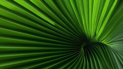 Obraz premium Lush Green Palm Leaf Close Up Texture