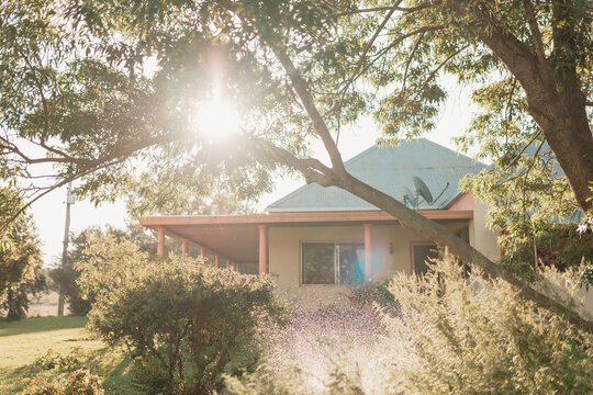 A gentle sprinkler refreshes a sunlit garden on a peaceful rural Australian afternoon