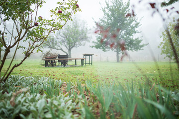 A peaceful garden scene on a misty morning, with a rustic bench by a fire pit