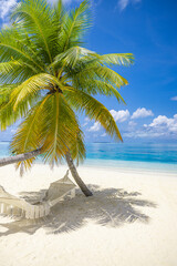 Picturesque tropical beach background as summer relax landscape with beach swing or hammock white sand calm sea sunny sky design. Amazing beach scene vacation summer holiday. Luxury panoramic travel