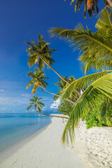 Scenic tropical beach paradise on exotic island. Relaxing palm trees sunny sea sand sky. Luxury summer vibes perfect travel destination for honeymoon coastal adventures. Majestic best tourism nature