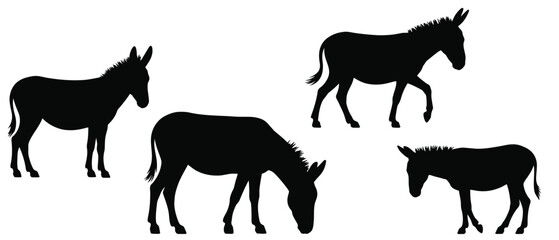Set of isolated donkey black silhouettes, vector concept