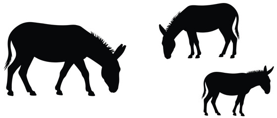 Donkey silhouette set, donkeys on white background, vector concept