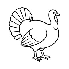 turkey vector realistic line icon on white background
Vector line icon animal, wildlife