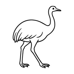 rhea vector realistic line icon on white background
Vector line icon animal, wildlife