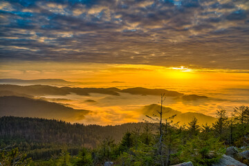 Schwarzwald