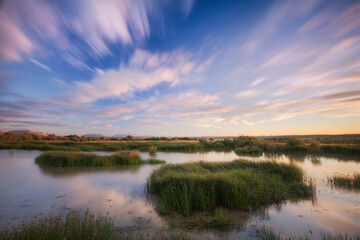 Laguna Fuente de Piedra, Málaga. España