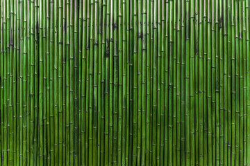 Green Bamboo Wall Background texture