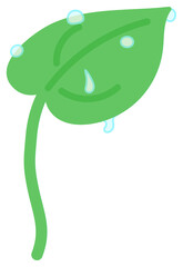 이슬 맺힌 초록색 나뭇잎 우산