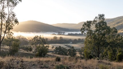Fototapeta premium Sunrise Mist Valley Landscape