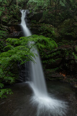 みどり市の不動滝　雨の日の風景