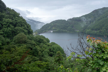 雨の日の草木湖の風景