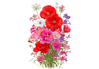 Vibrant summer bouquet red pink white flowers, On Transparent Background