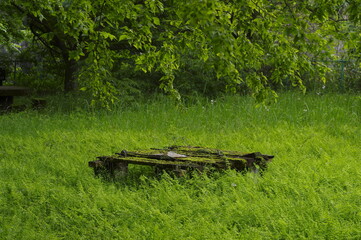 新緑の草むらに放置された朽ちた木製のテーブル