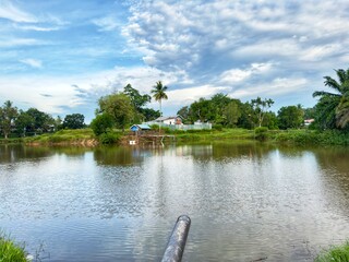 A tranquil small lake rests peacefully beneath a clear blue sky, surrounded by lush green trees