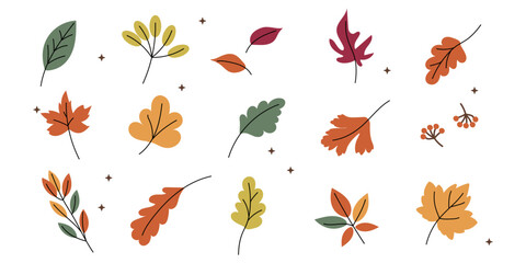 Obraz premium Set of autumn leaves, fallen leaves, hand drawn,autumn, Halloween, Thanksgiving design elements. 