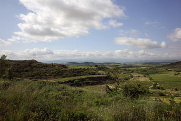 Vineyards in the countryside of Basque Country