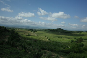 Vineyards in the countryside of Basque Country