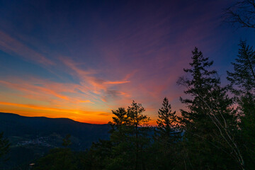 Fototapeta premium Schwarzwald