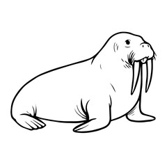 walrus vector realistic line icon on white background
Vector line icon animal, wildlife