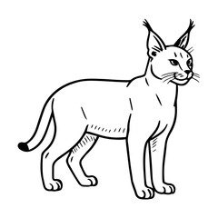 caracal vector realistic line icon on white background
Vector line icon animal, wildlife