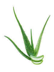 Fototapeta premium Aloe Vera Sliced Open Leaf Hyper Realistic Transparent Background
