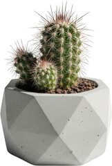 Geometric Concrete Planter with Spiky Cactus Succulent Plant