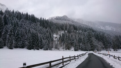 Snowy Road Through Alpine Forest