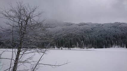 Bare Tree Overlooking Snowy Mountain and Frozen Lake