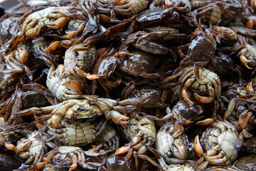 Close up of grabs in Bangkok, Thailand