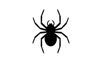 A black spider silhouette with eight legs displayed on a plain white background in a vector image