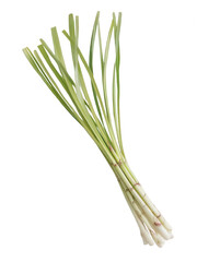 Fototapeta premium Fresh Lemongrass Close Up Full Stalk Transparent Background